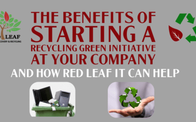 The Benefits of Starting a Recycling Green Initiative at Your Company