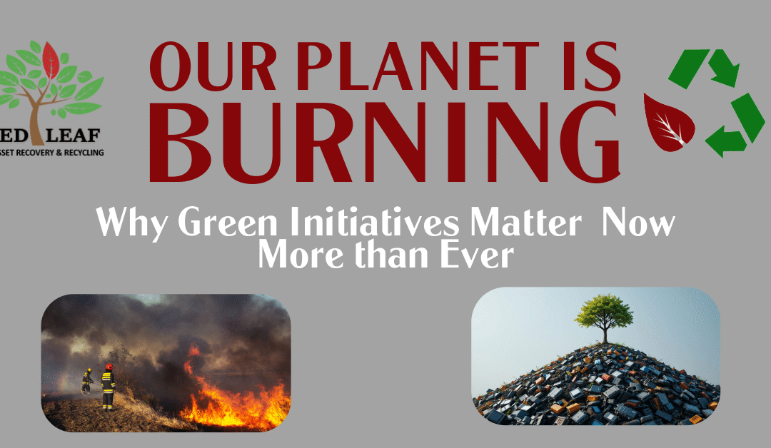 Our Planet Is Burning: Why Green Initiatives Matter Now More Than Ever