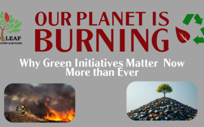 Our Planet Is Burning: Why Green Initiatives Matter Now More Than Ever