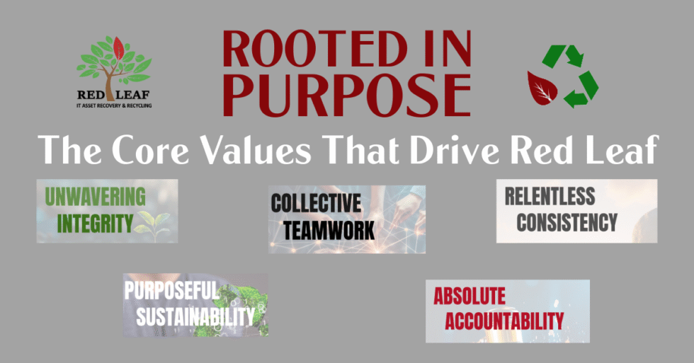 Rooted In Values Rooted in Purpose: The Core Values That Drive Red Leaf - Red Leaf IT ...