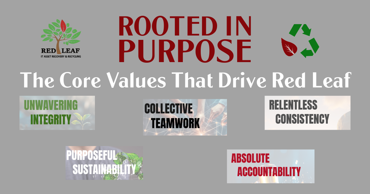 Rooted in Purpose: The Core Values That Drive Red Leaf - Red Leaf IT ...