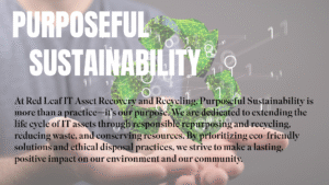 Purposeful Sustainability