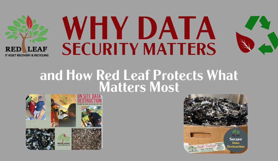 Why Data Security Matters—and How Red Leaf Protects What Matters Most