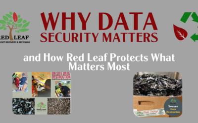 Why Data Security Matters—and How Red Leaf Protects What Matters Most